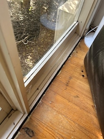 Ants, dirt and glass on the floor