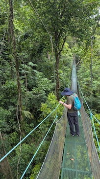 Hanging bridges. 1 of 8