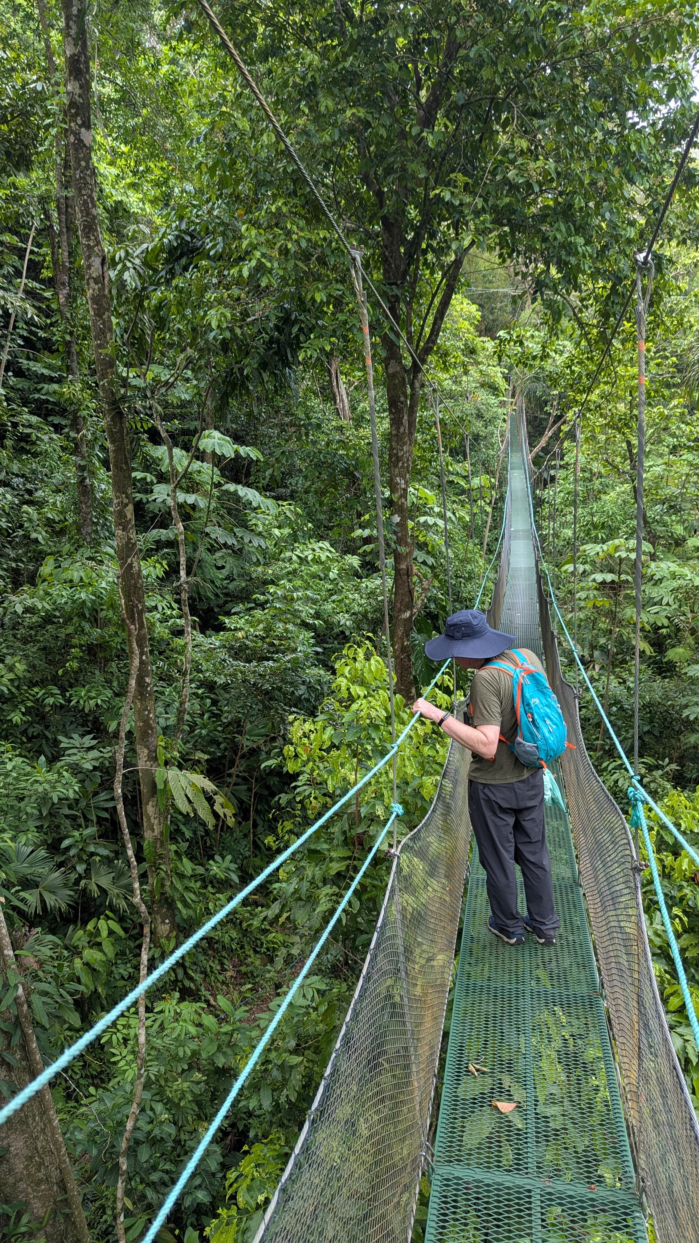 Hanging bridges. 1 of 8