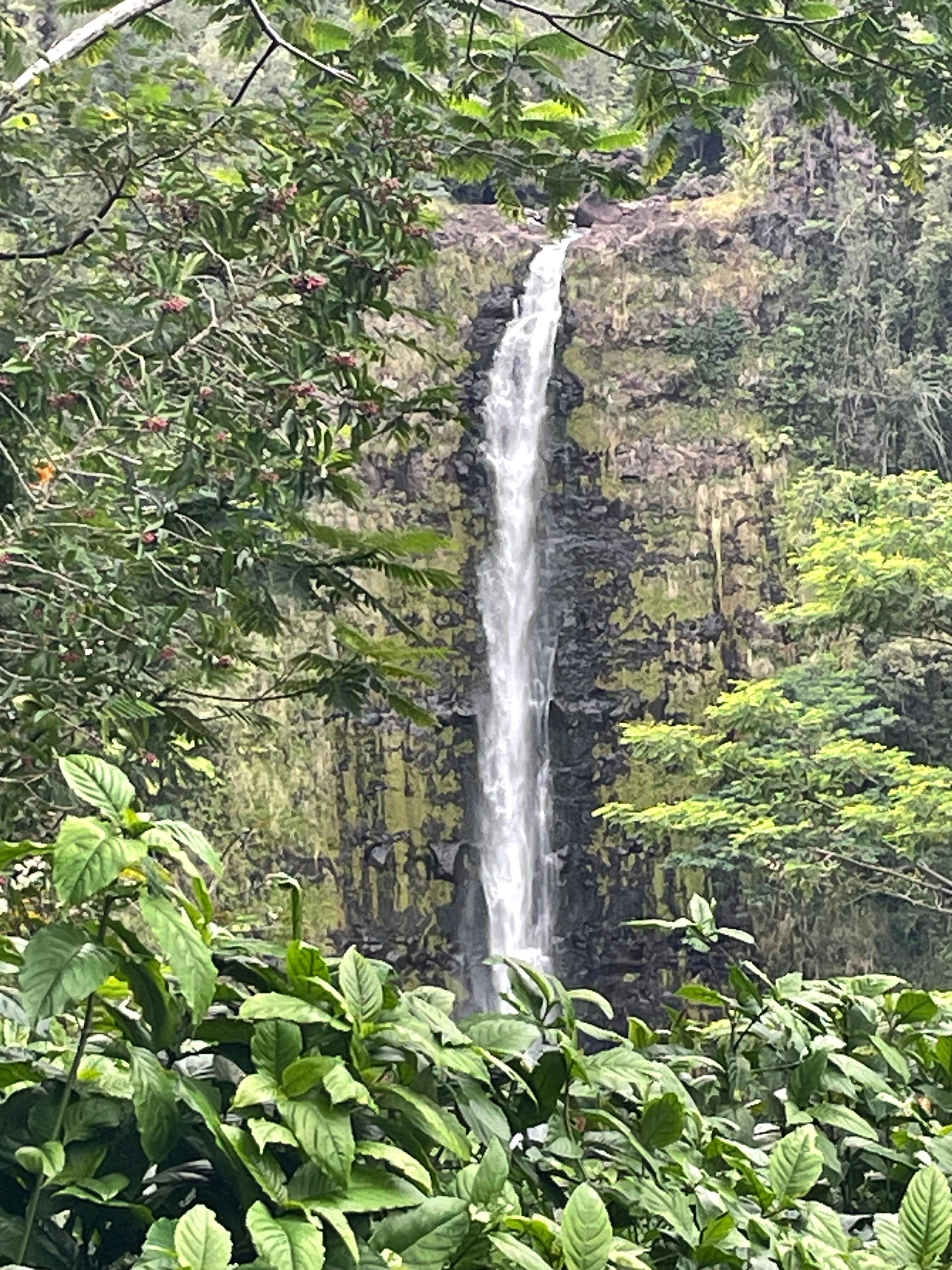 Alaska Falls nearby day trip