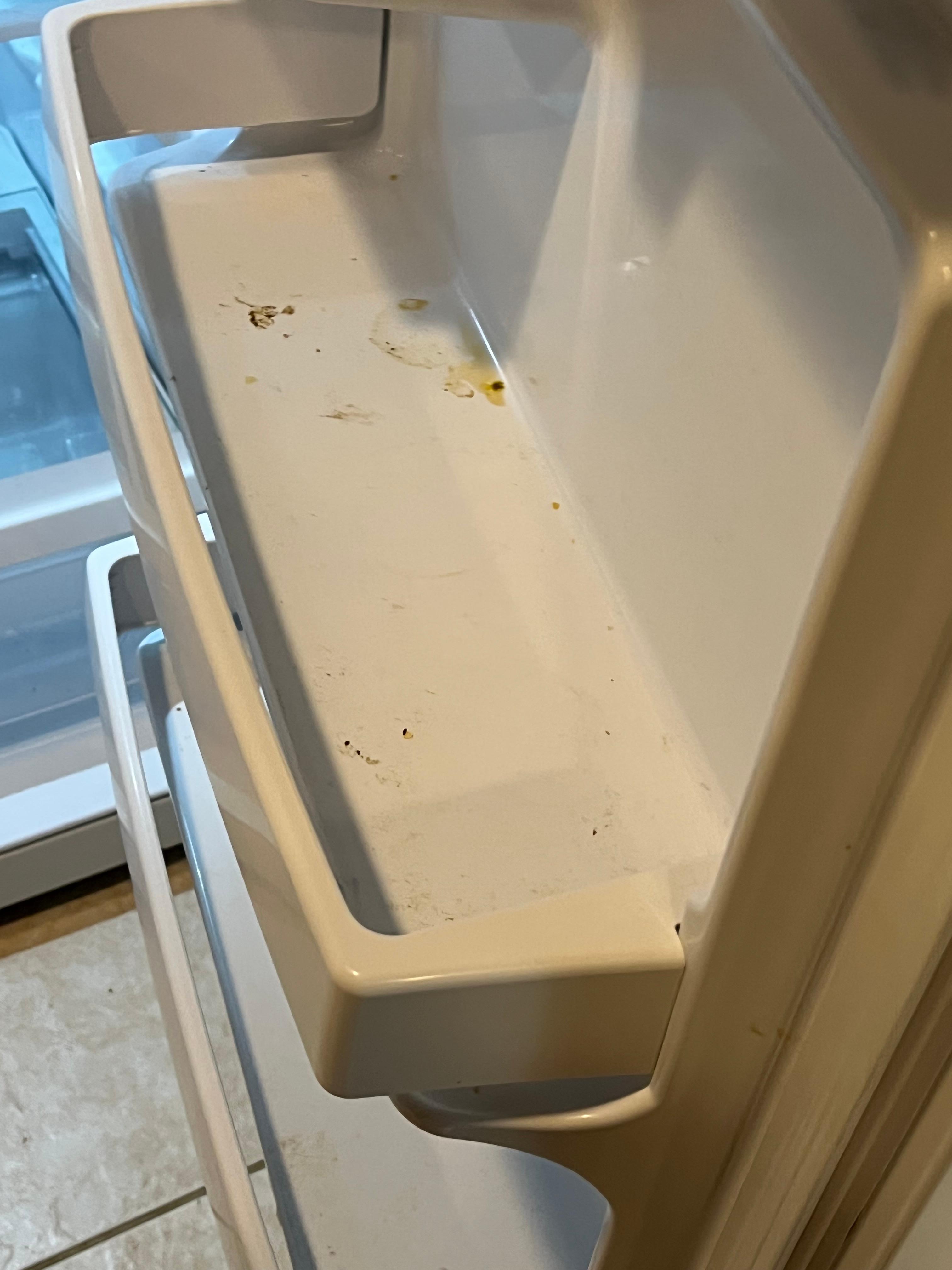 Dirty fridge