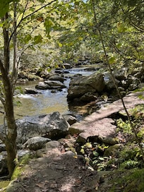Trail at elkmont campground