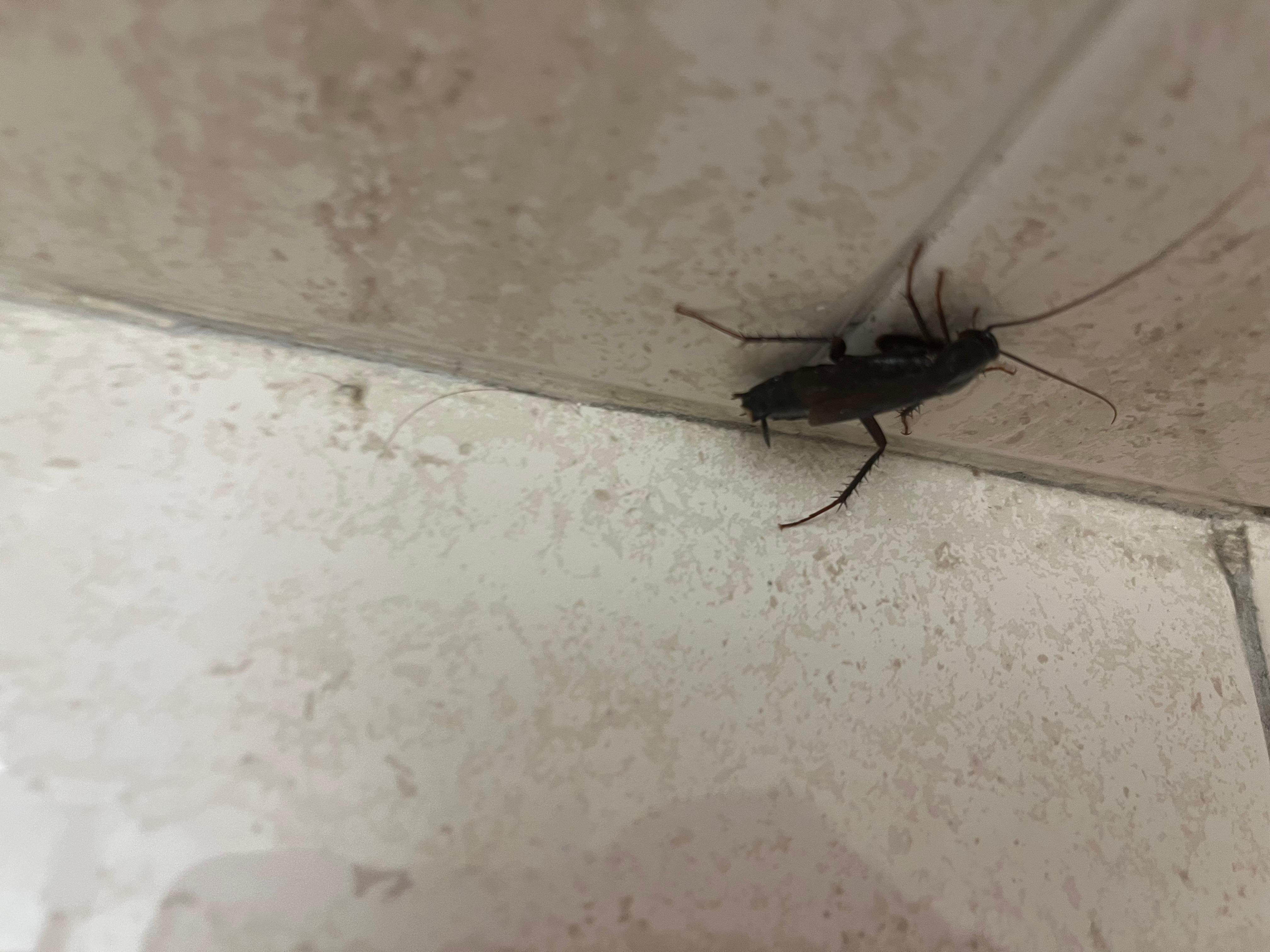 Running around the bathroom….