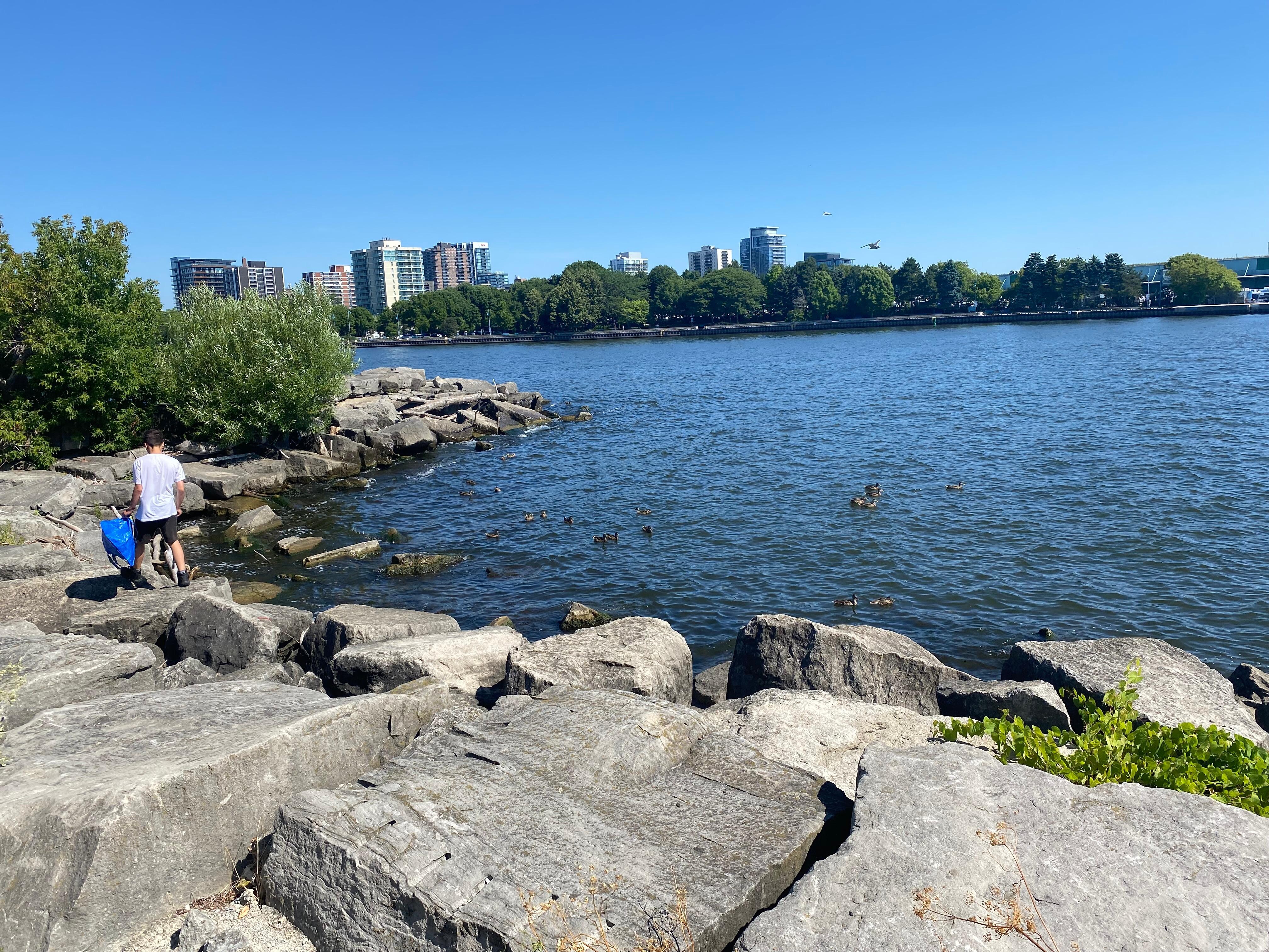 View of Port Credit harbor which is directly in front of the hotel!