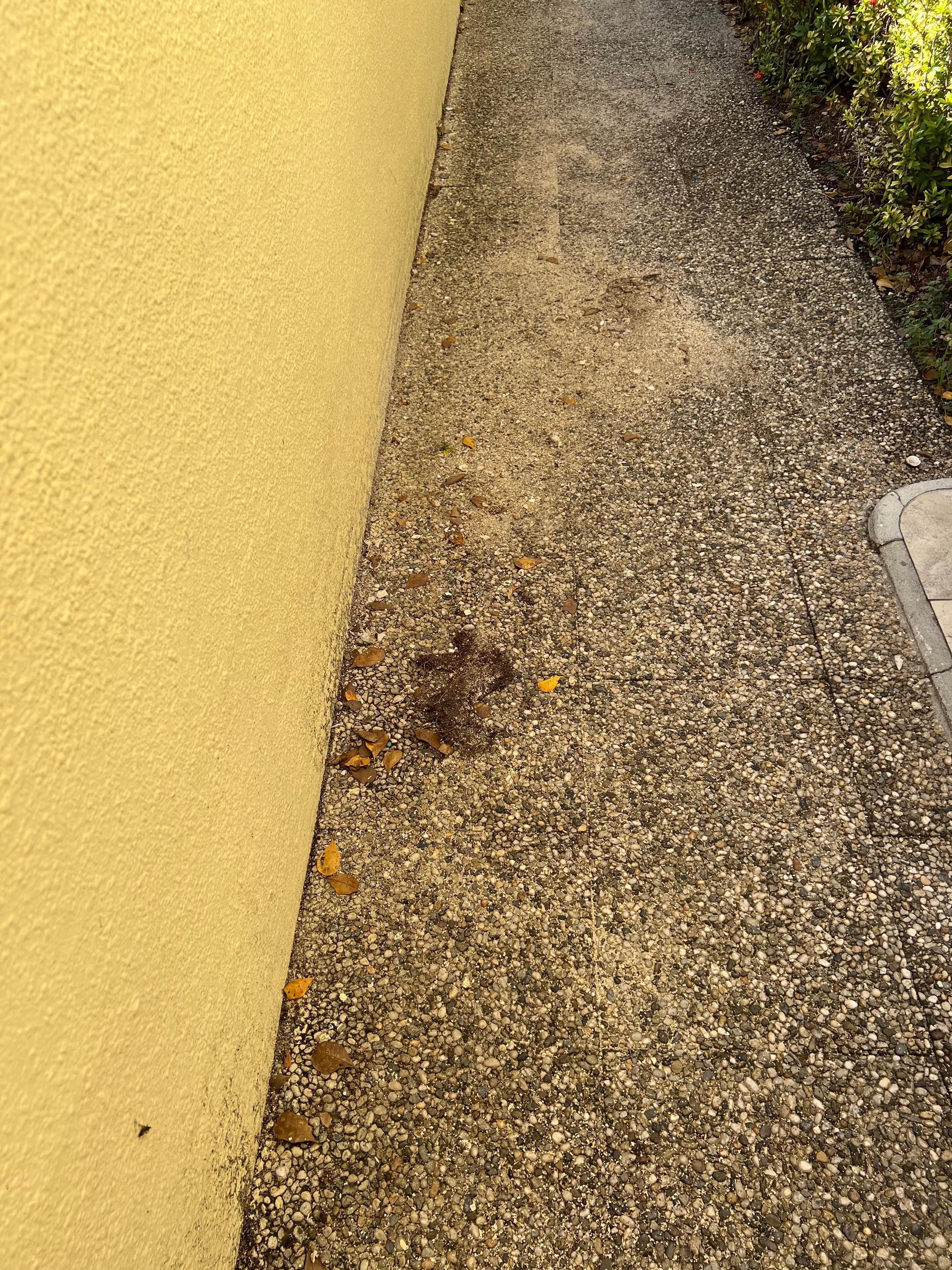 Walkway outside our room