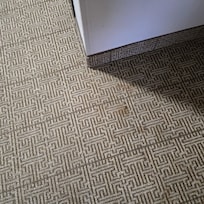 Stained carpet