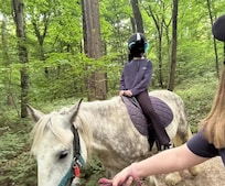 Pony ride