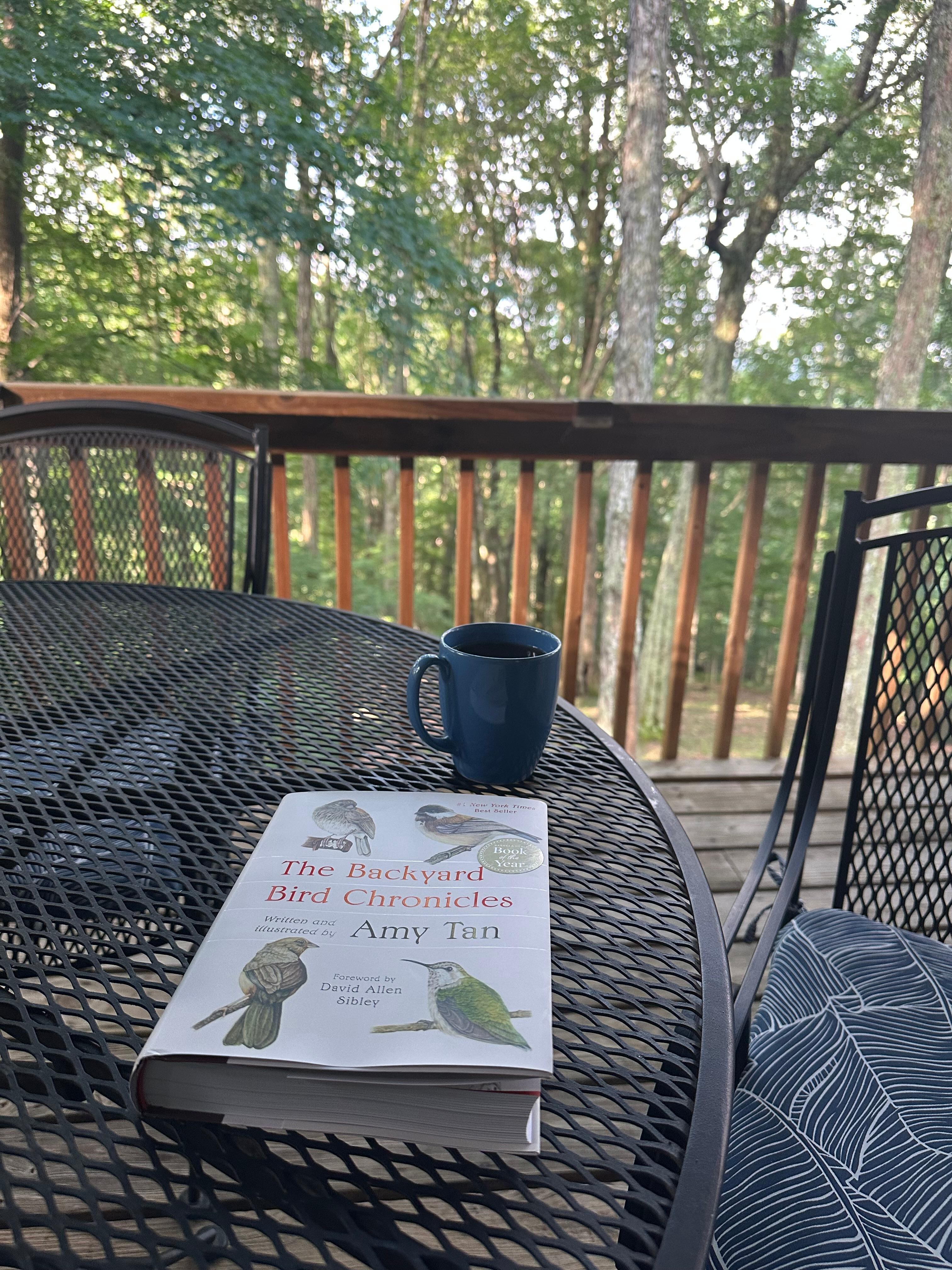 Book not included. Great morning spot!