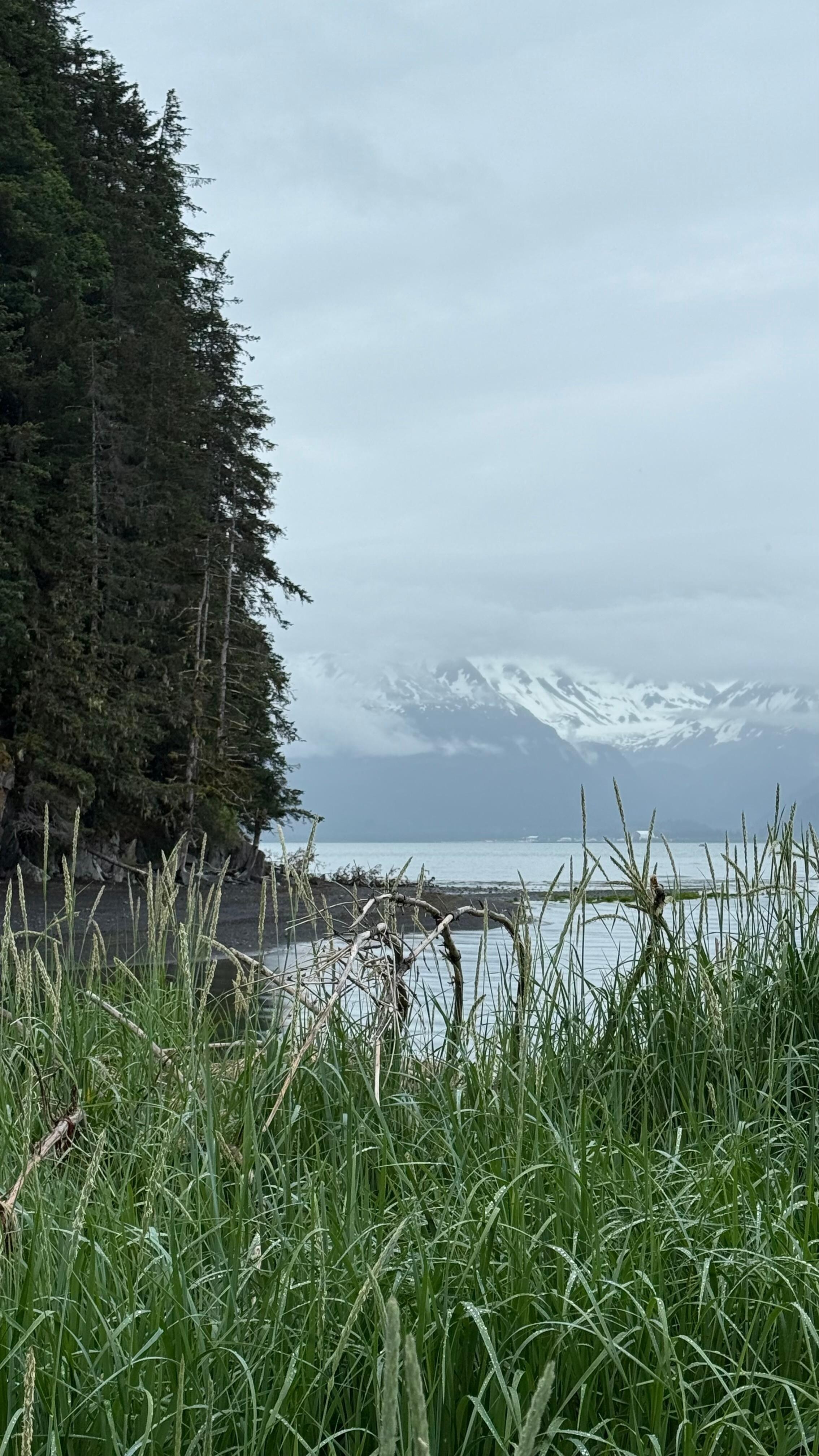 Tonsina point