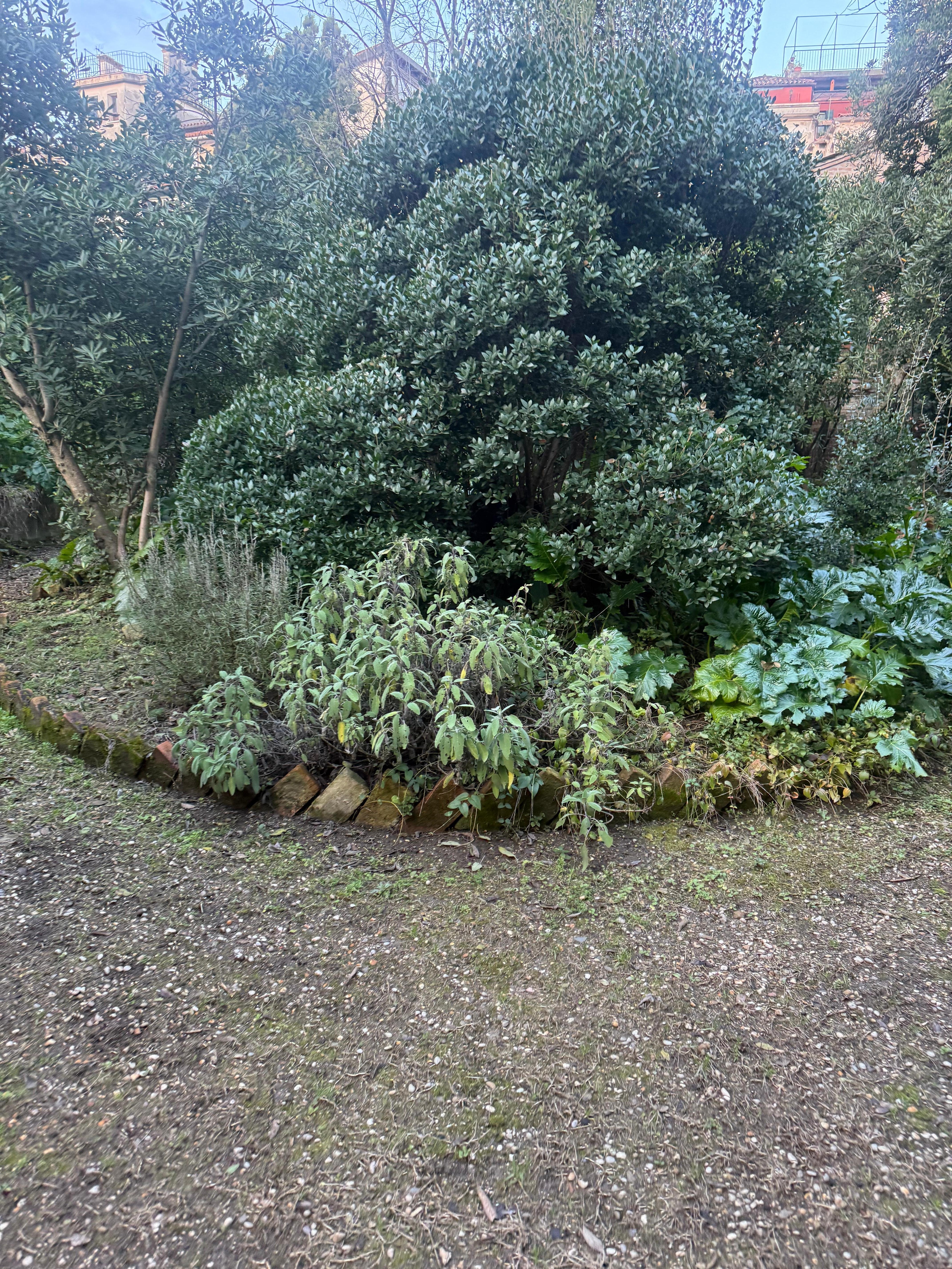 Garden in early spring