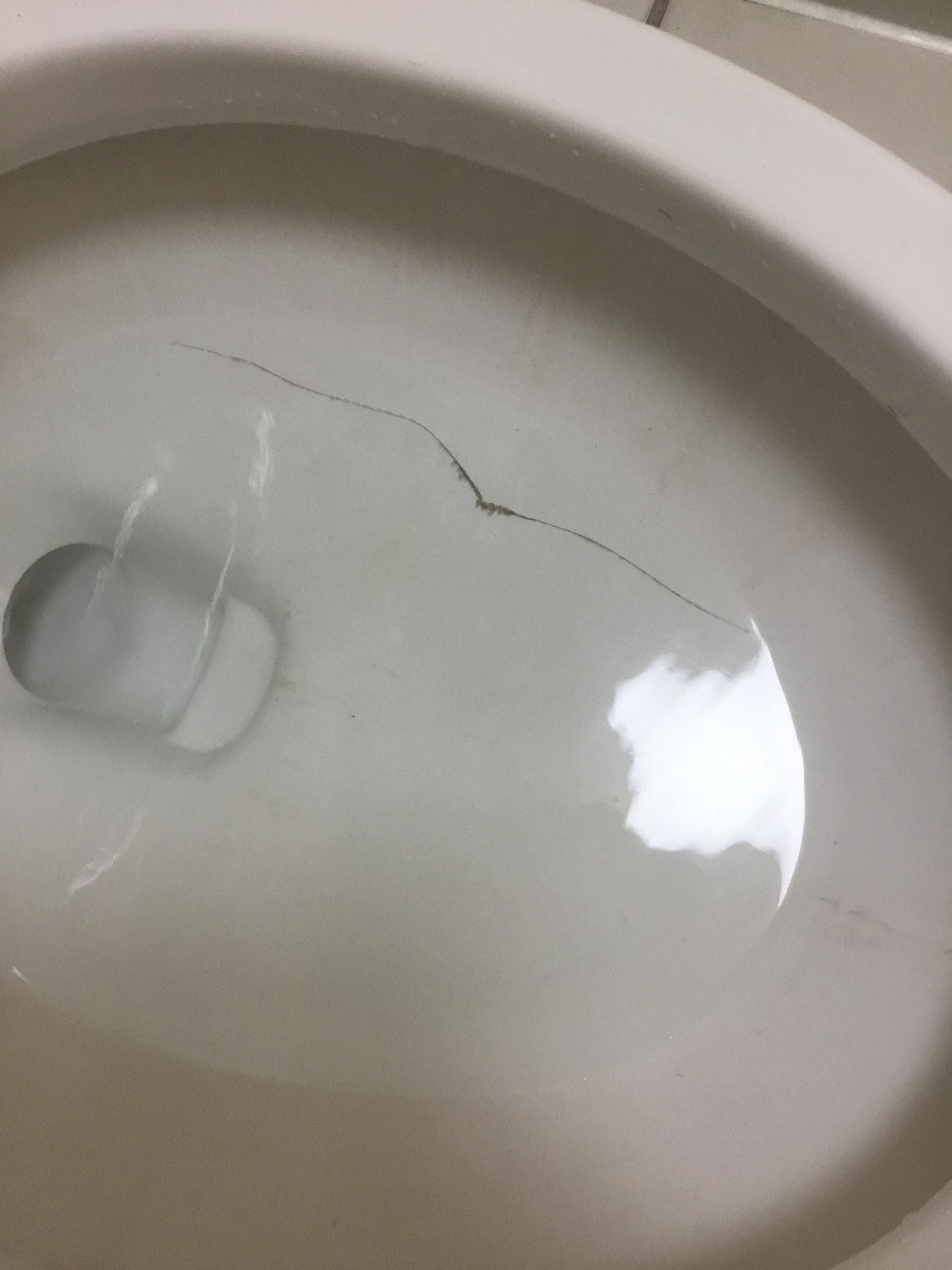 Crack in toilet with something black growing in the crack