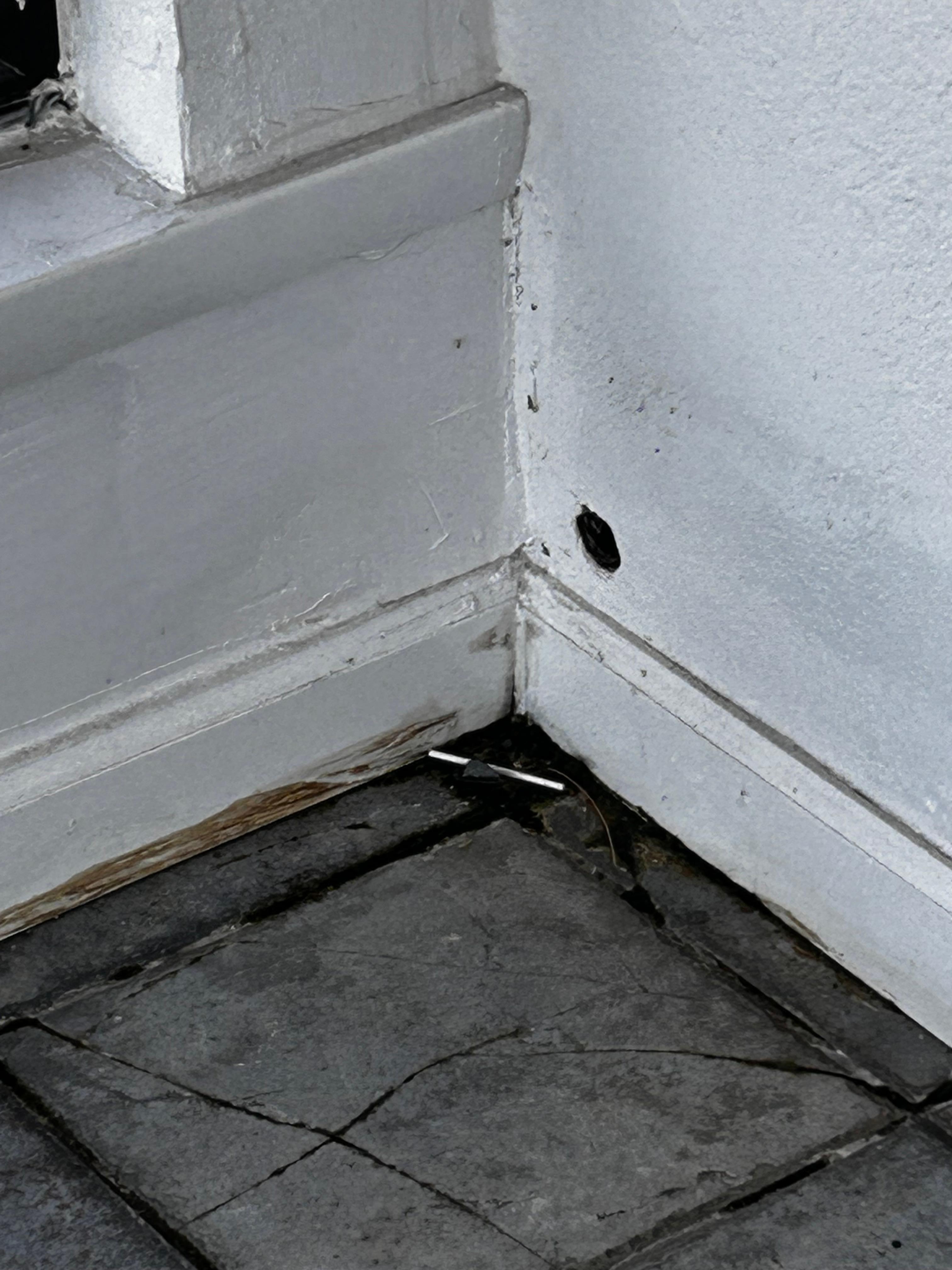 Entryway and set the tone for the hotel.