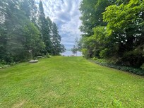Nice lawn for playing games