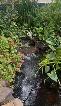 Beautiful garden