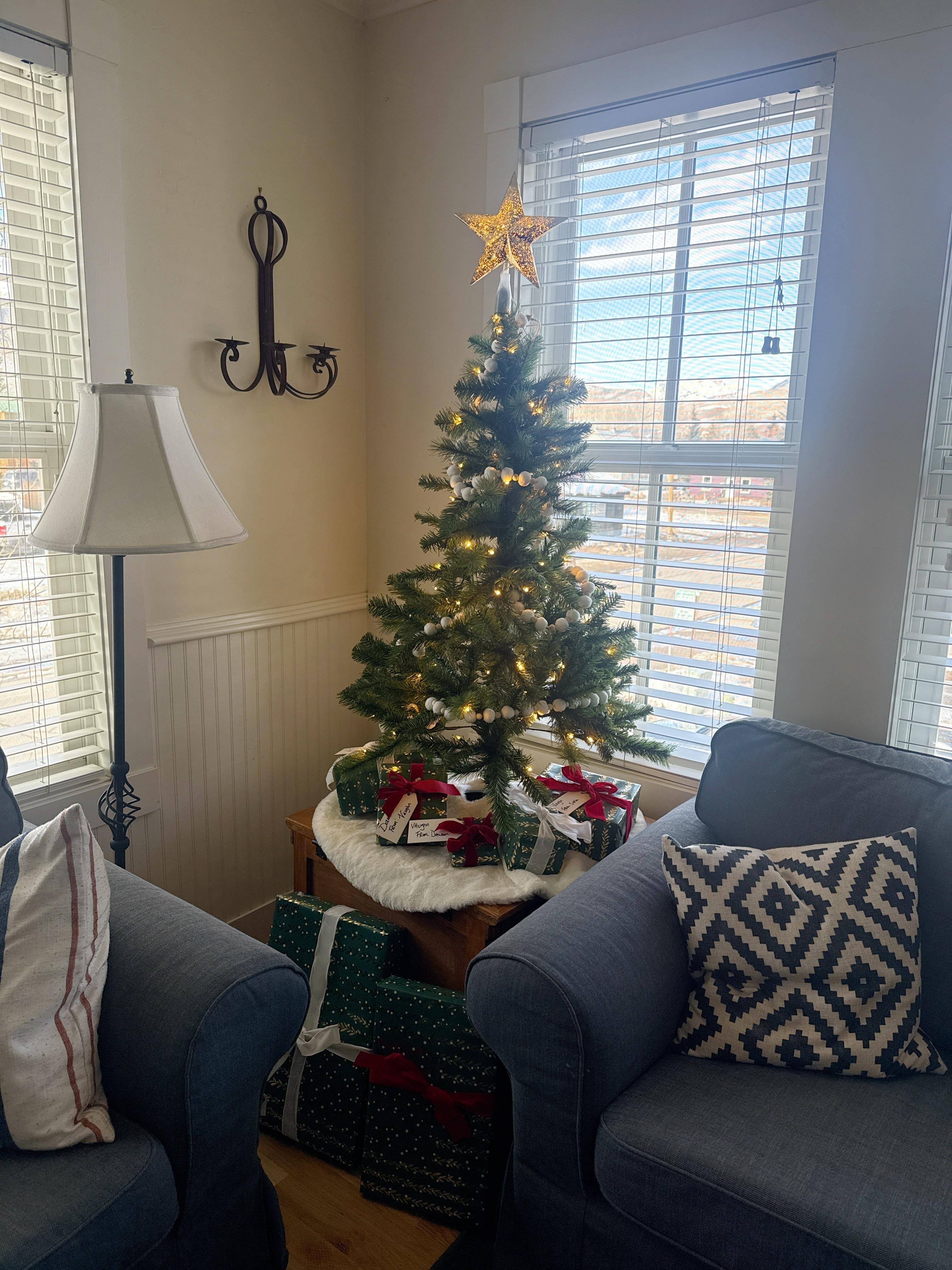 Brought our travel christmas travel tree