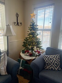 Brought our travel christmas travel tree