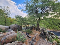 Side area in front by driveway (not shown).