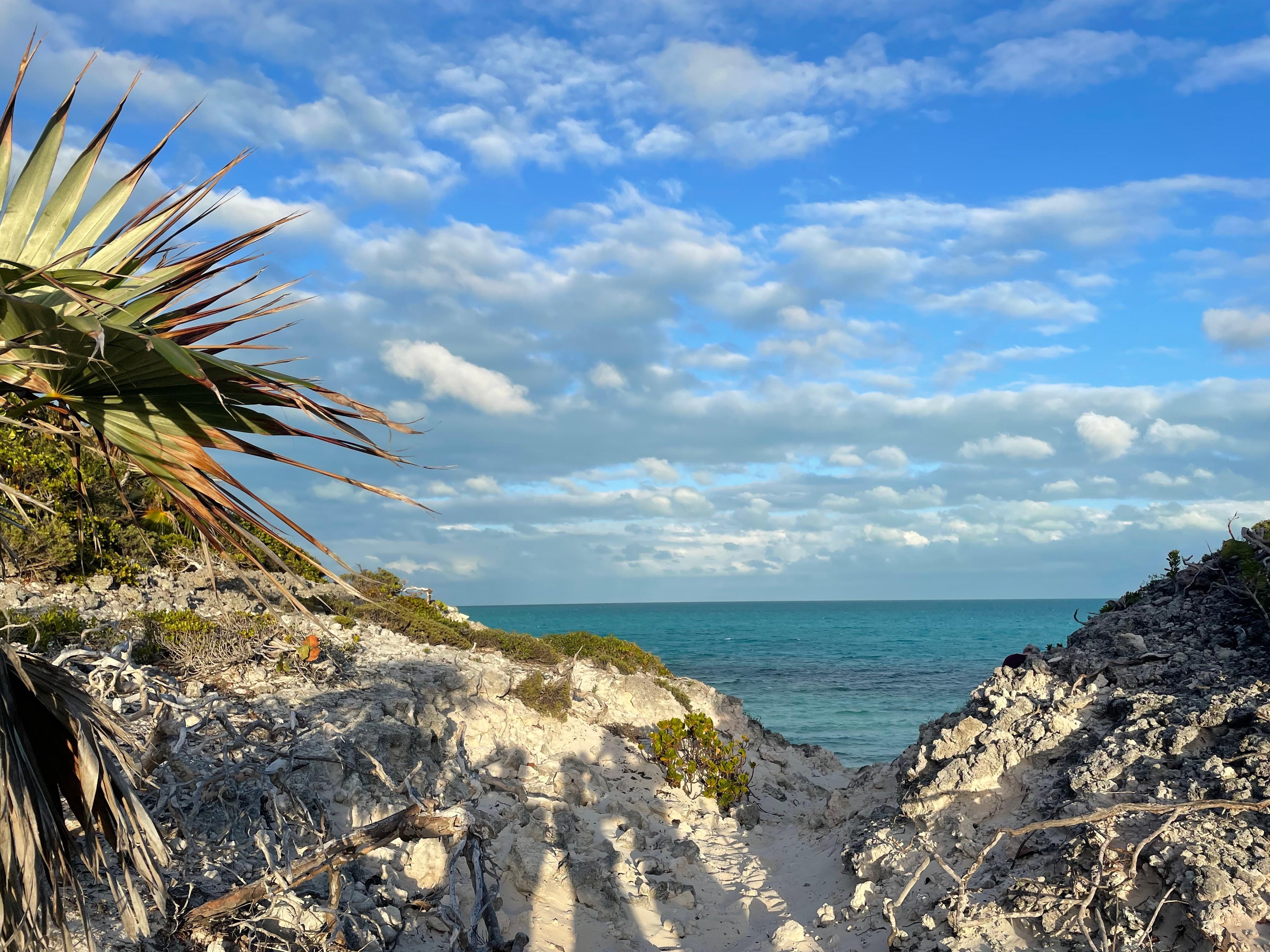 View approaching beach