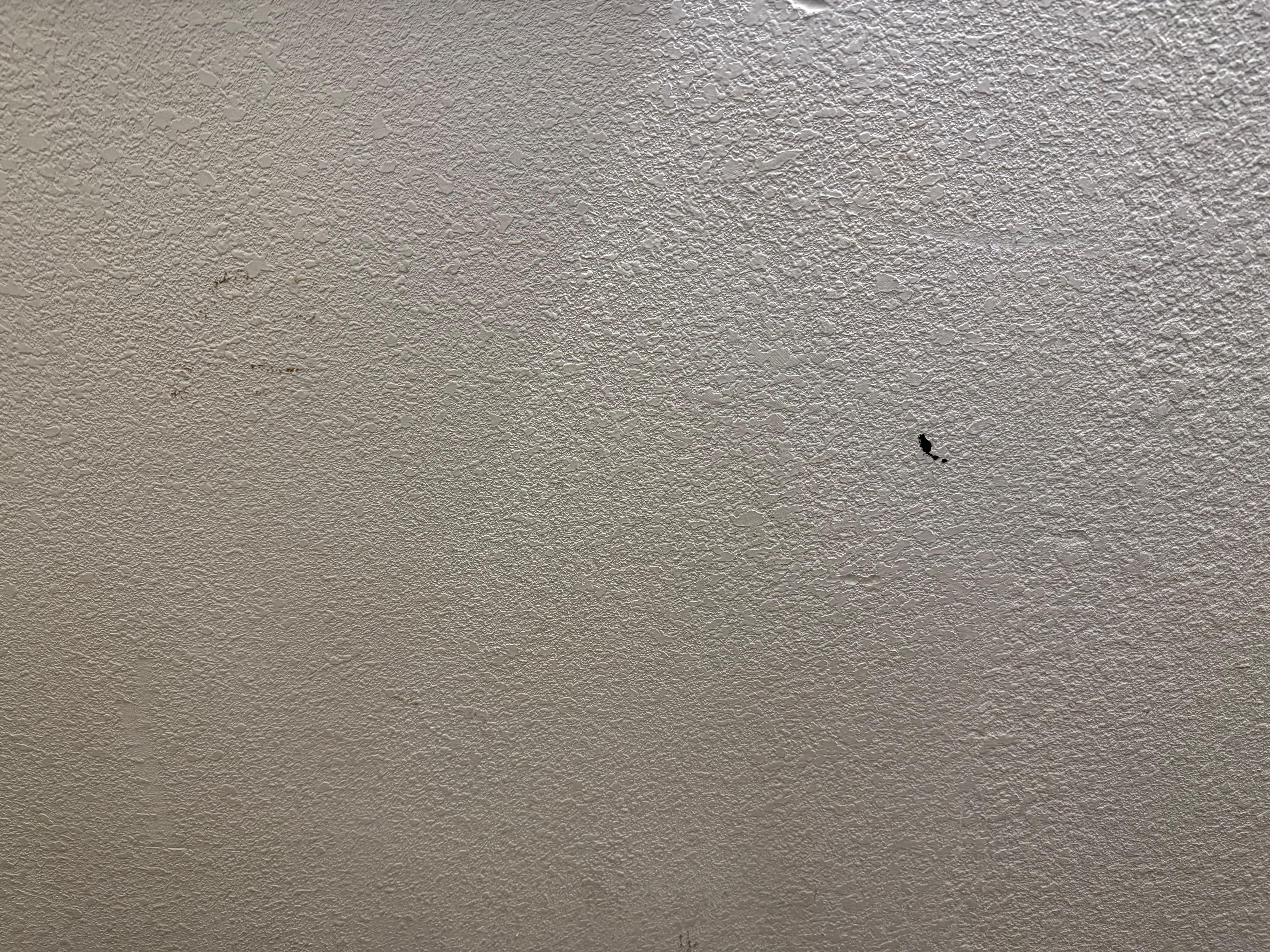 All the walls had stains of some sort