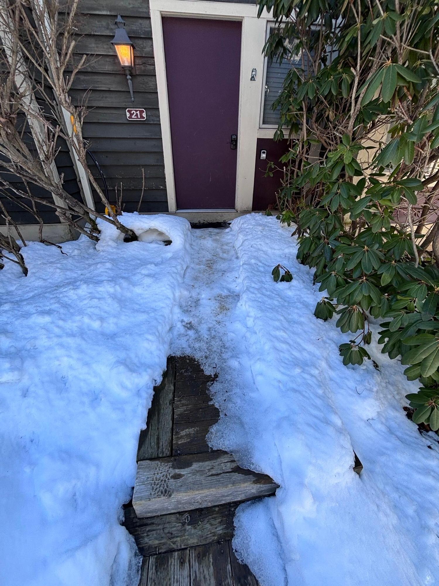 view from road before shoveled