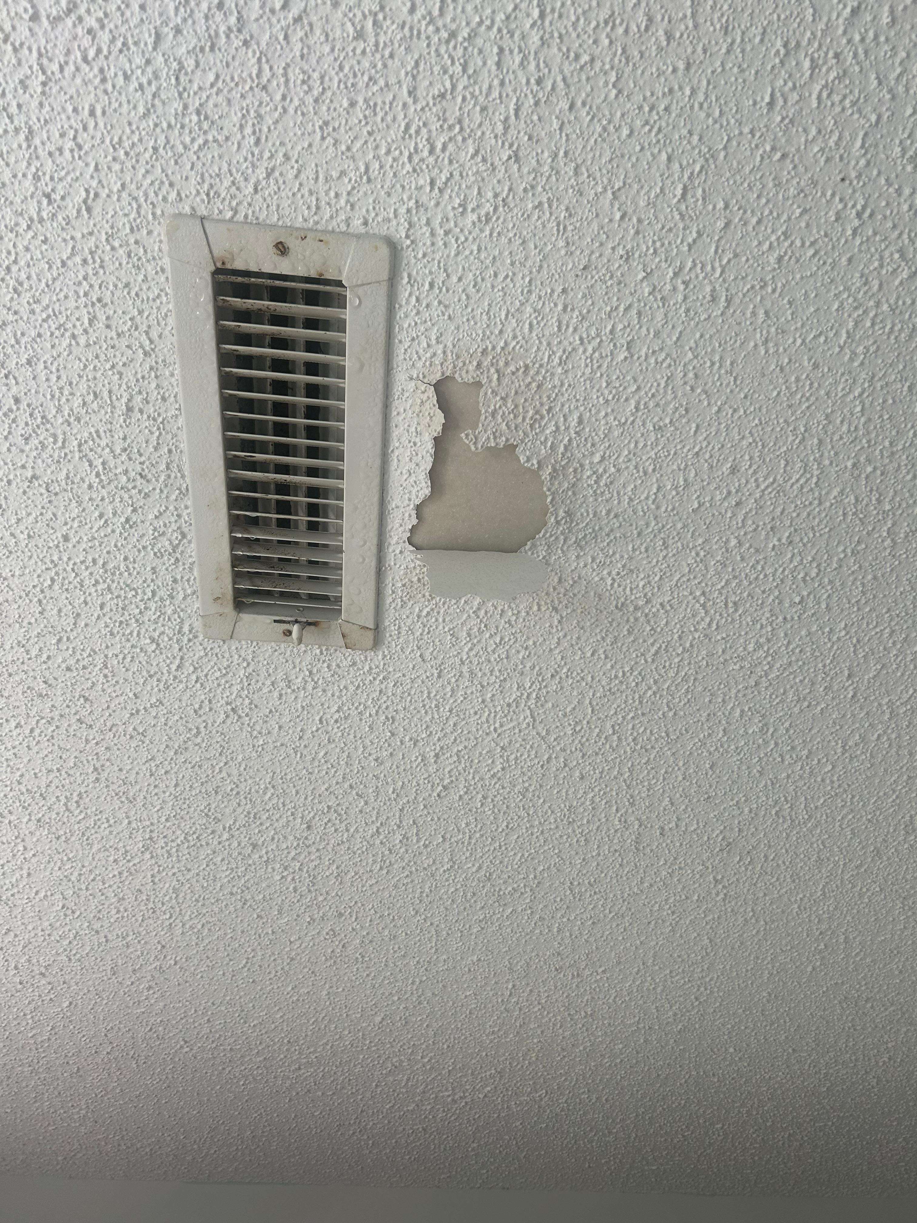 Before the ceiling fell