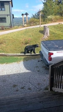 Our frequent friend