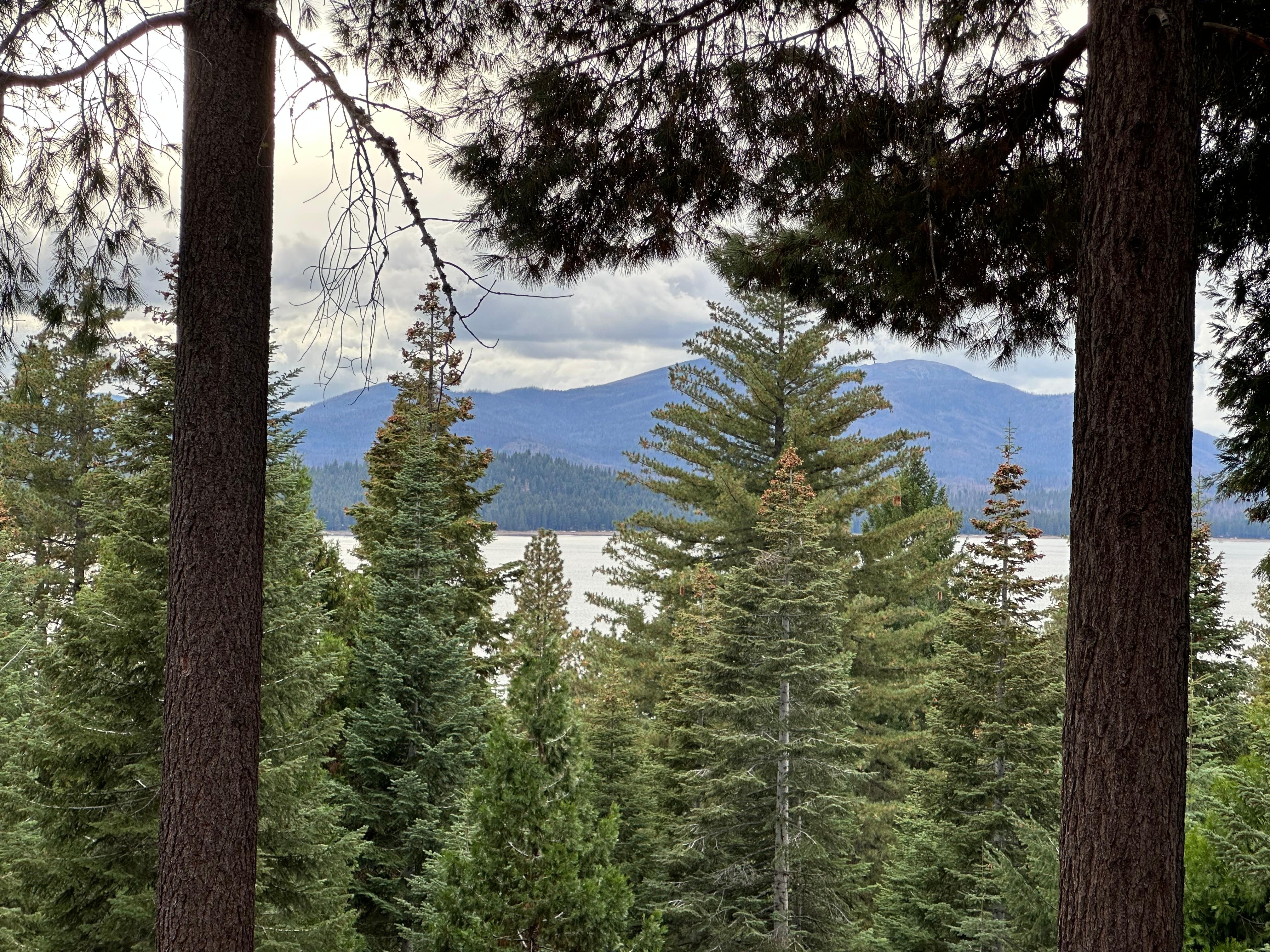 The view from the patio, living area. 