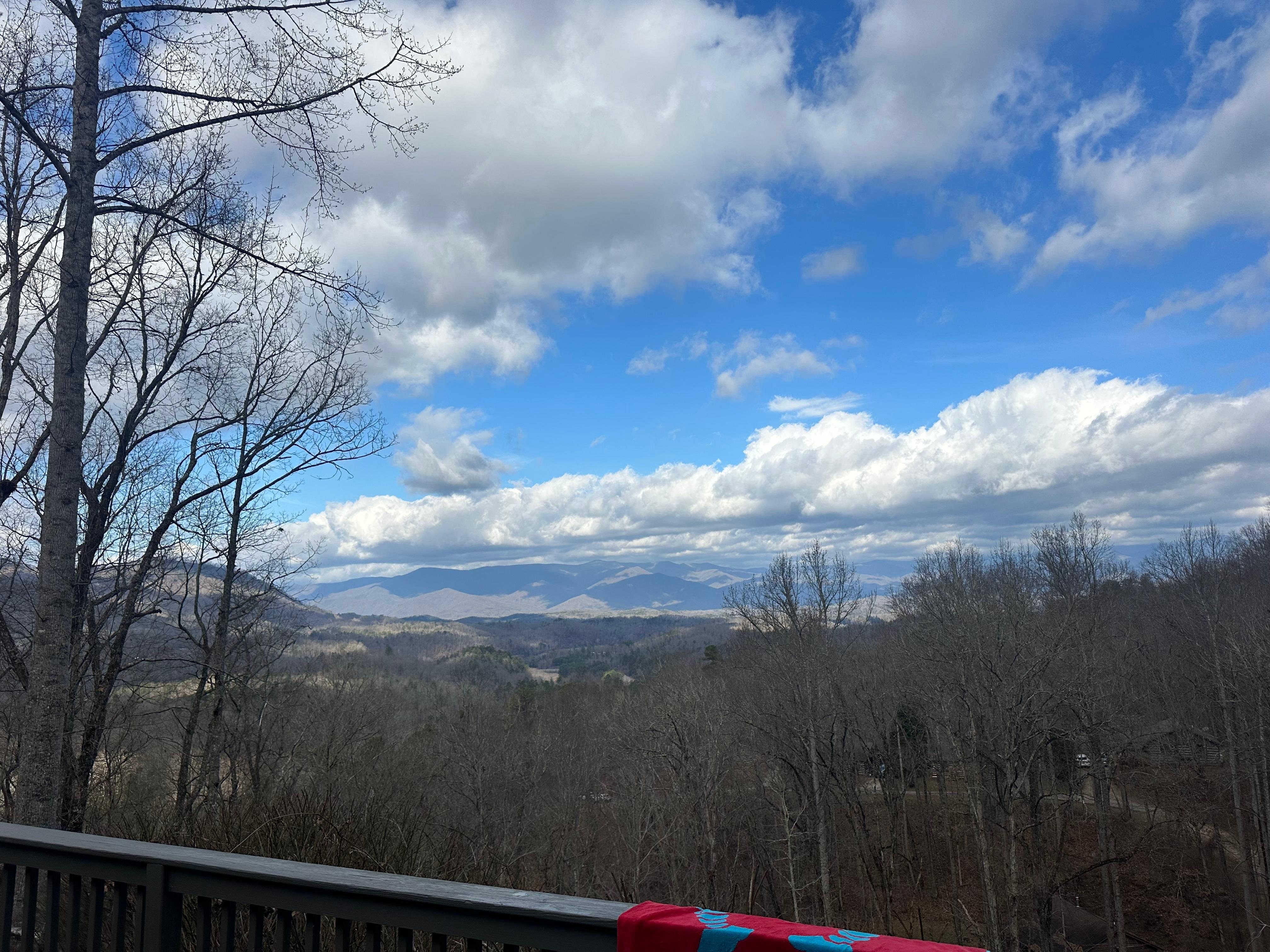 View from back porch