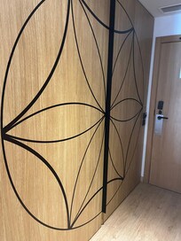 Bathroom barn style doors