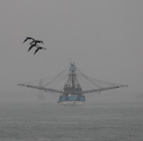 A short drive from the house brings you to the docks where you can watch the boats come in.