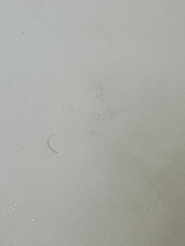 hair in tub