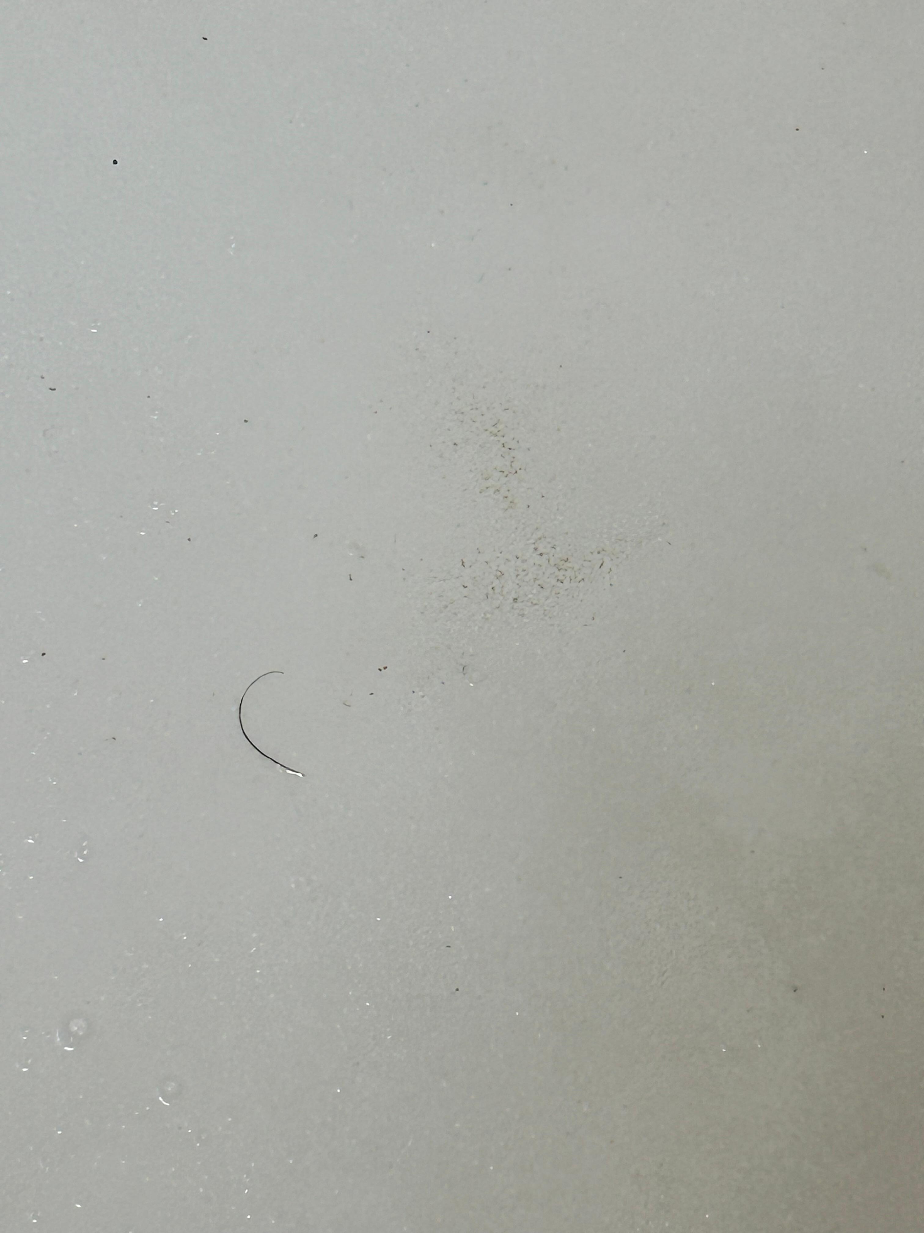 hair in tub
