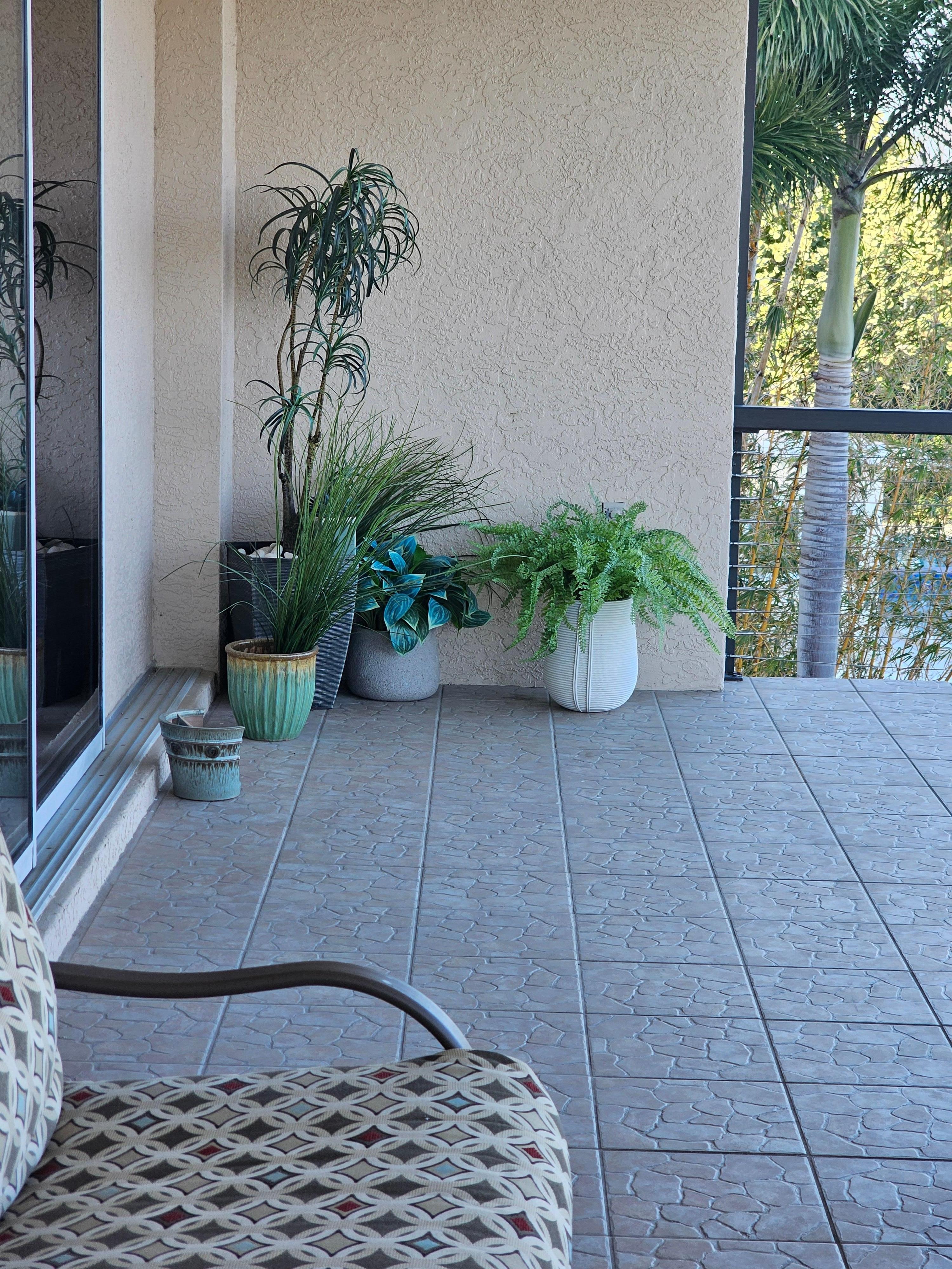 Heavy wind Beat the vase! Powpow!!!