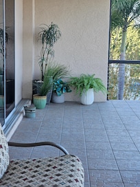 Heavy wind Beat the vase! Powpow!!!