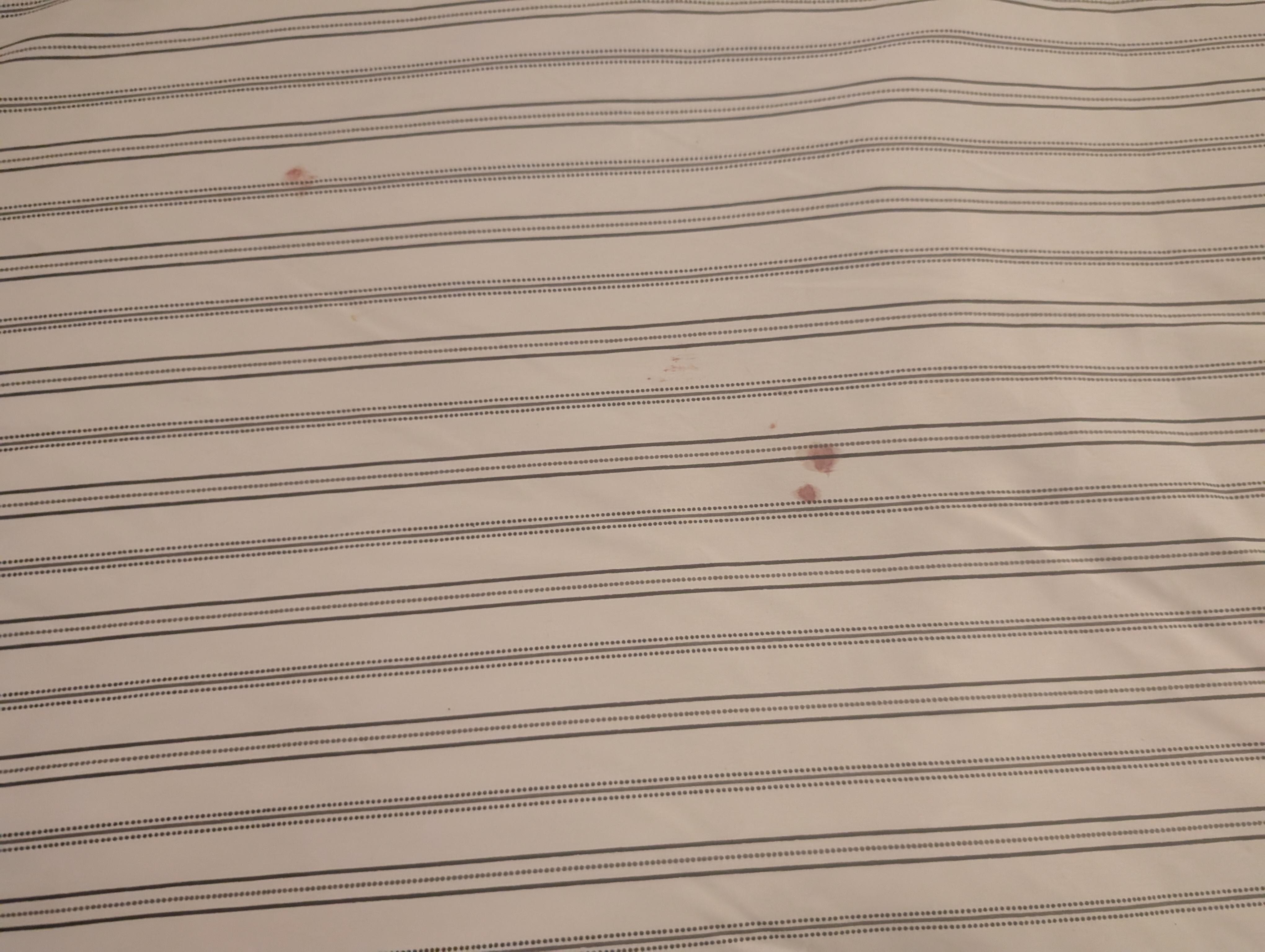 Blood marks after being bitten at night