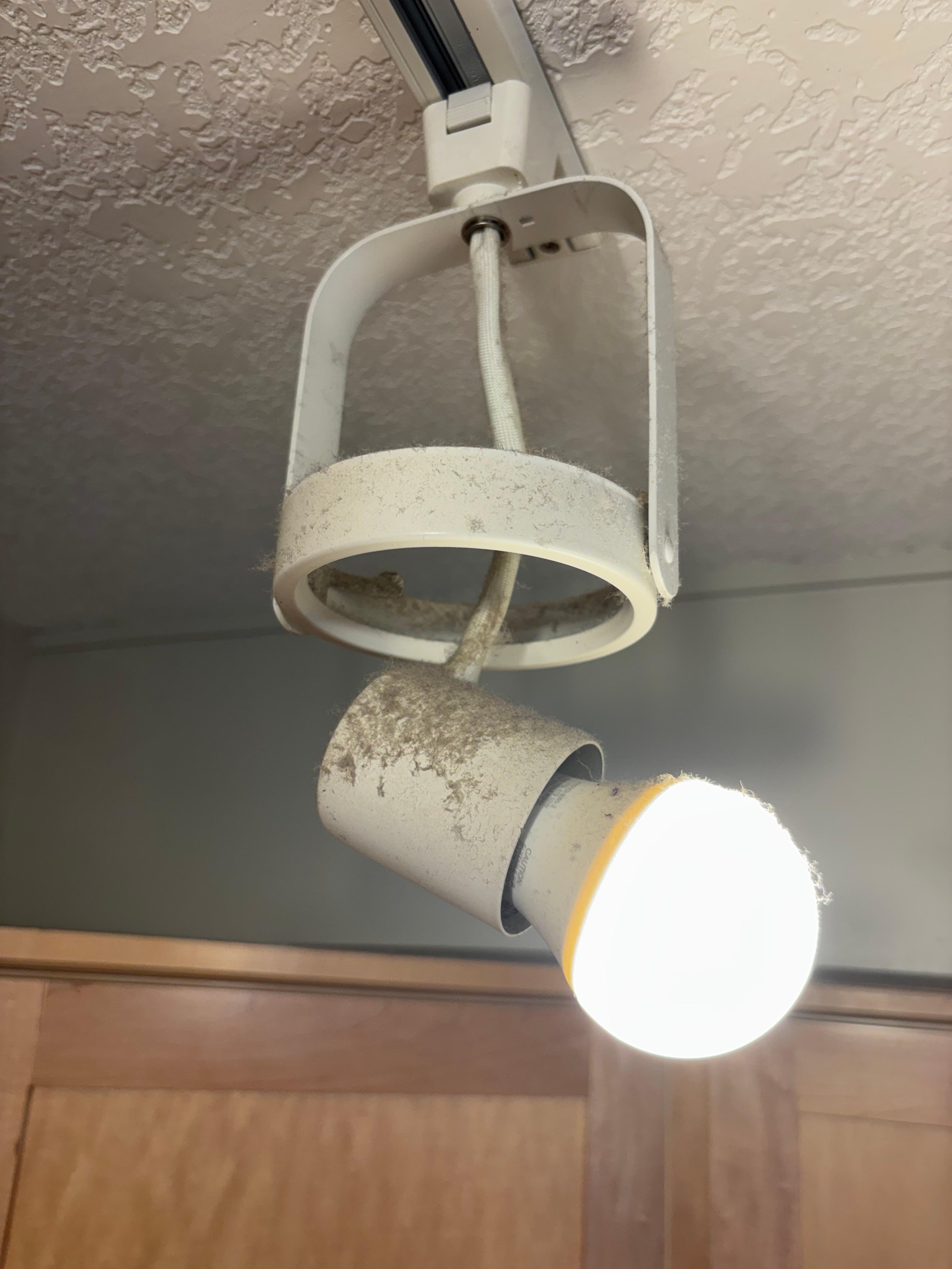 Dusty light fixture above food prep area