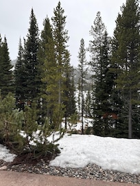 View out our back door of living area!