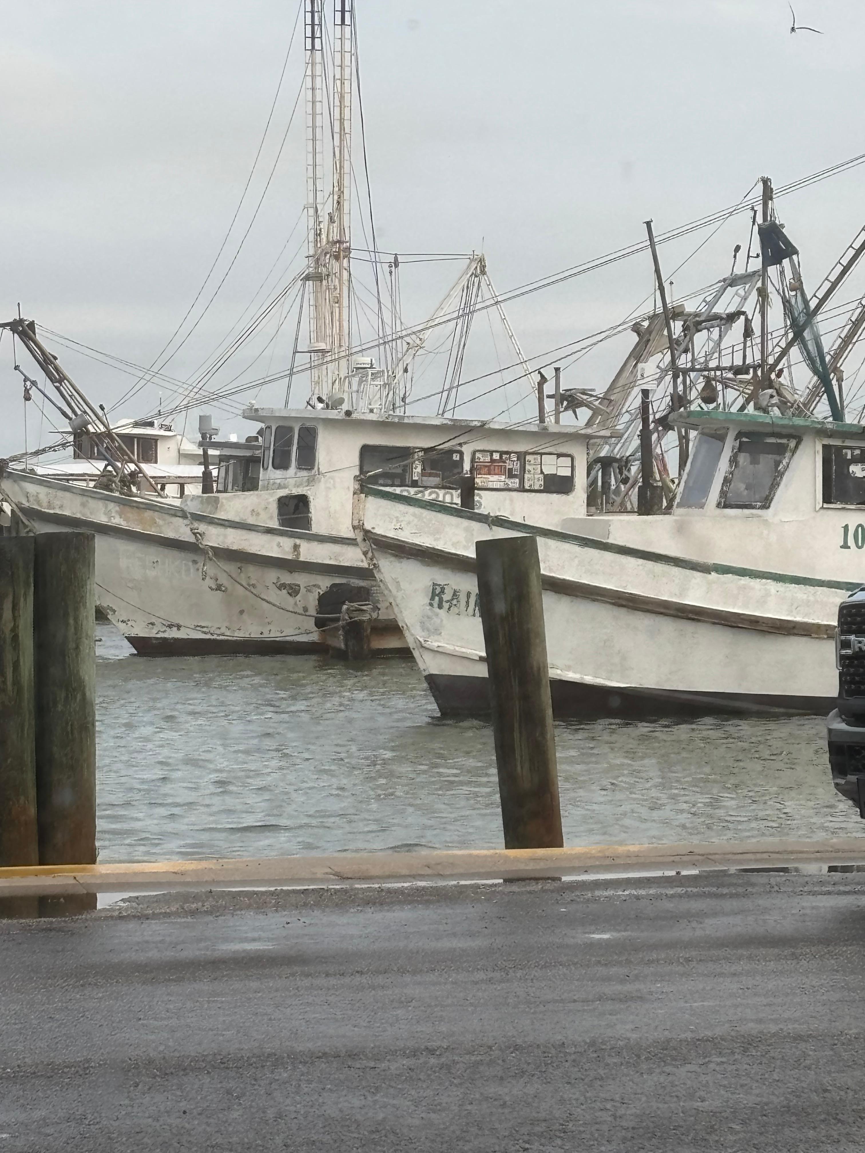 Across the street view. 