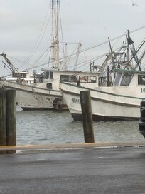 Across the street view.