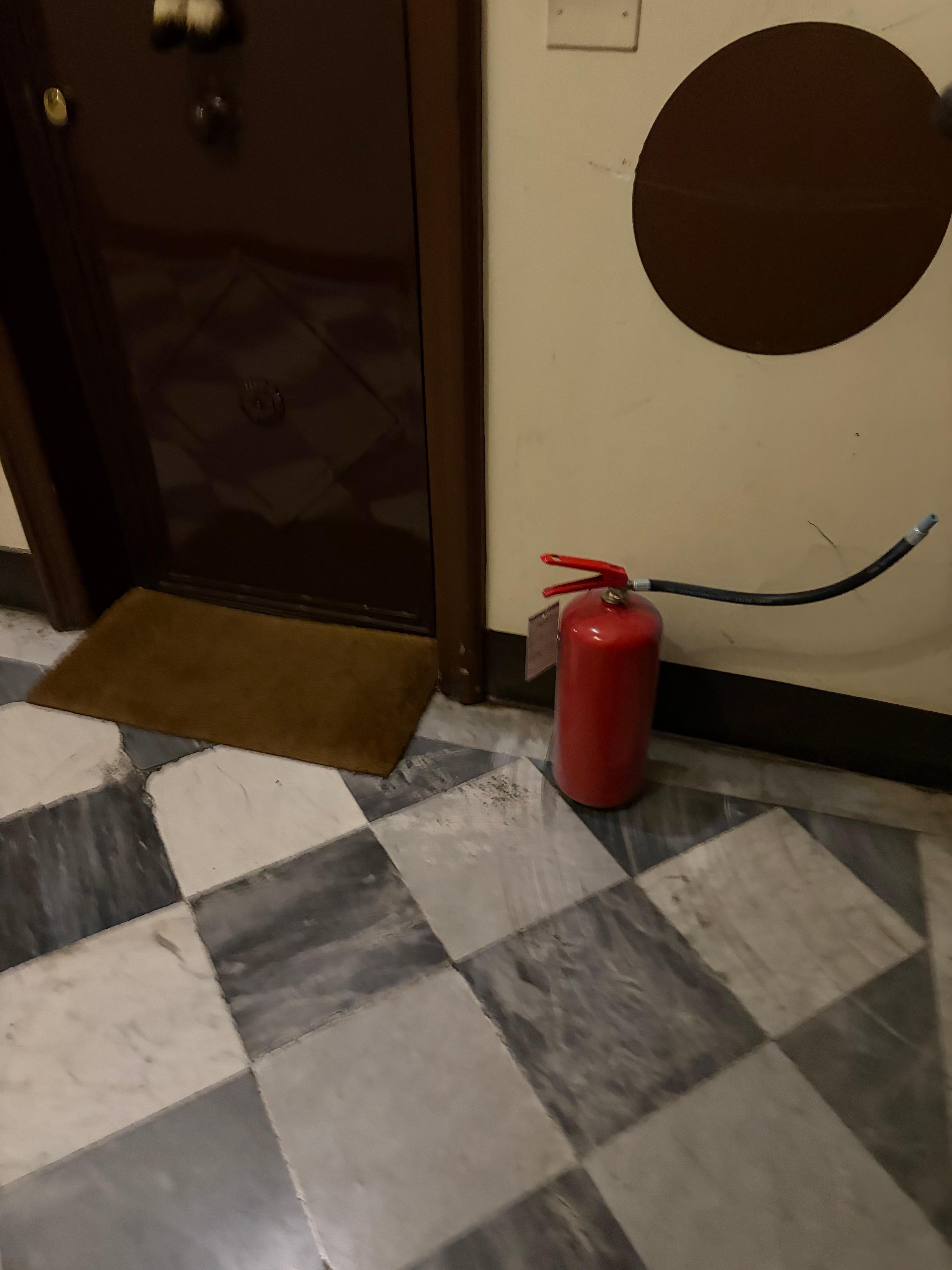 Thank God for the fire extinguisher 