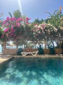 Un bain de jouvence dans la piscine