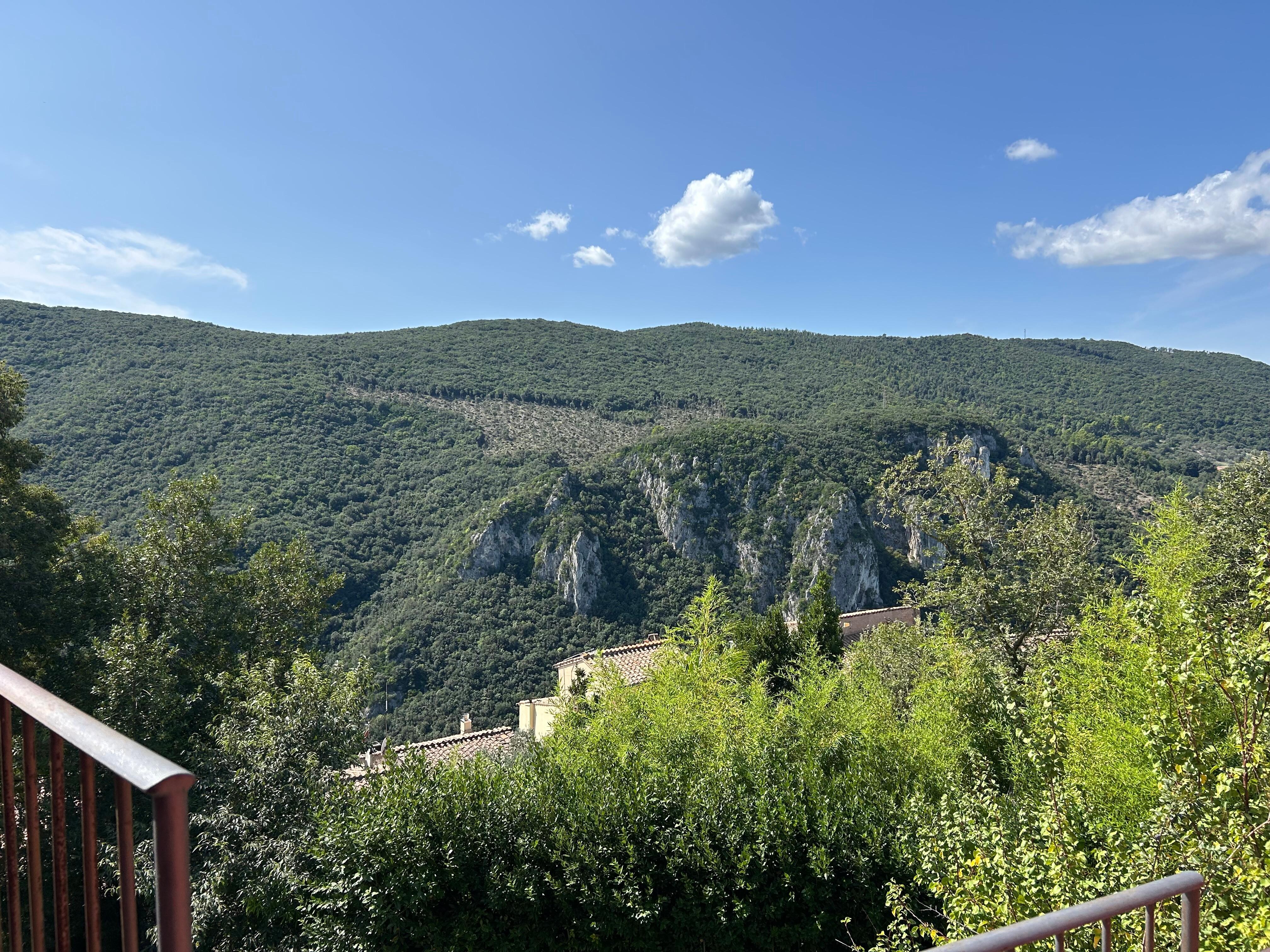 View from the kitchen 