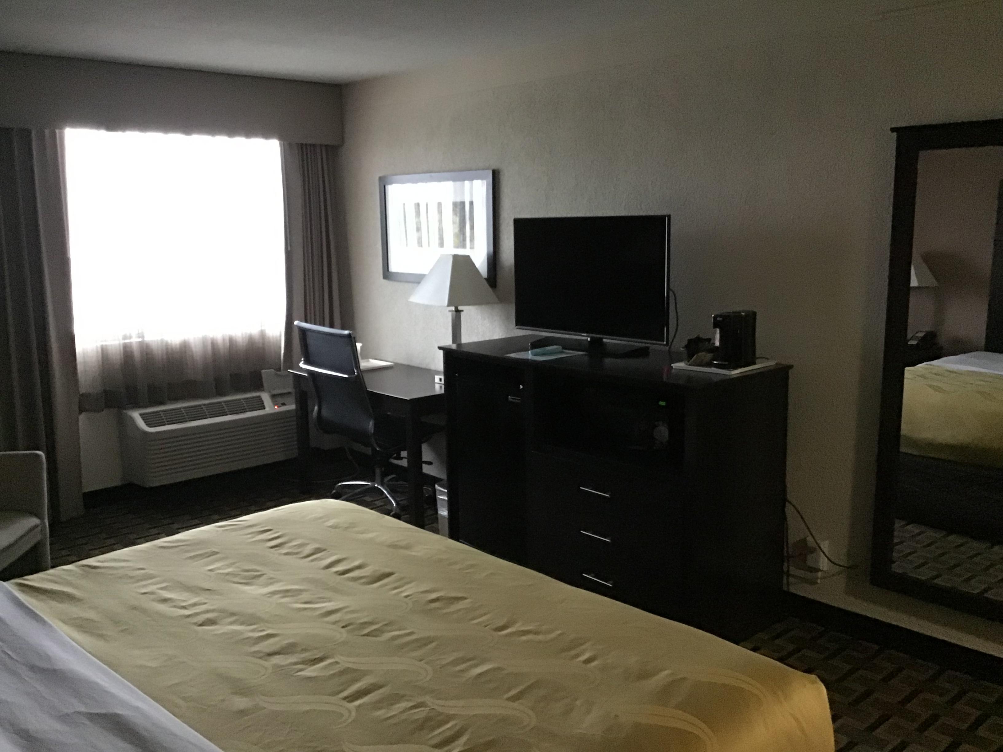 Room included a mine-fridge & microwave.
