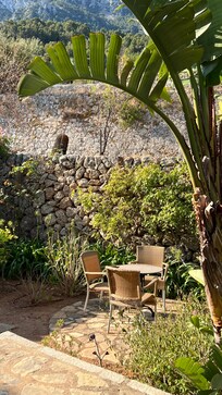 Beautiful garden