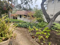 Tranquil garden path to cottage.