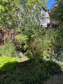 Enjoying the serene backyard.