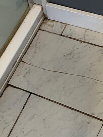 Uncleaned, mold and mildew all along the floor to shower