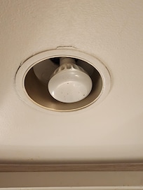 Not sure what is all over this. O.o