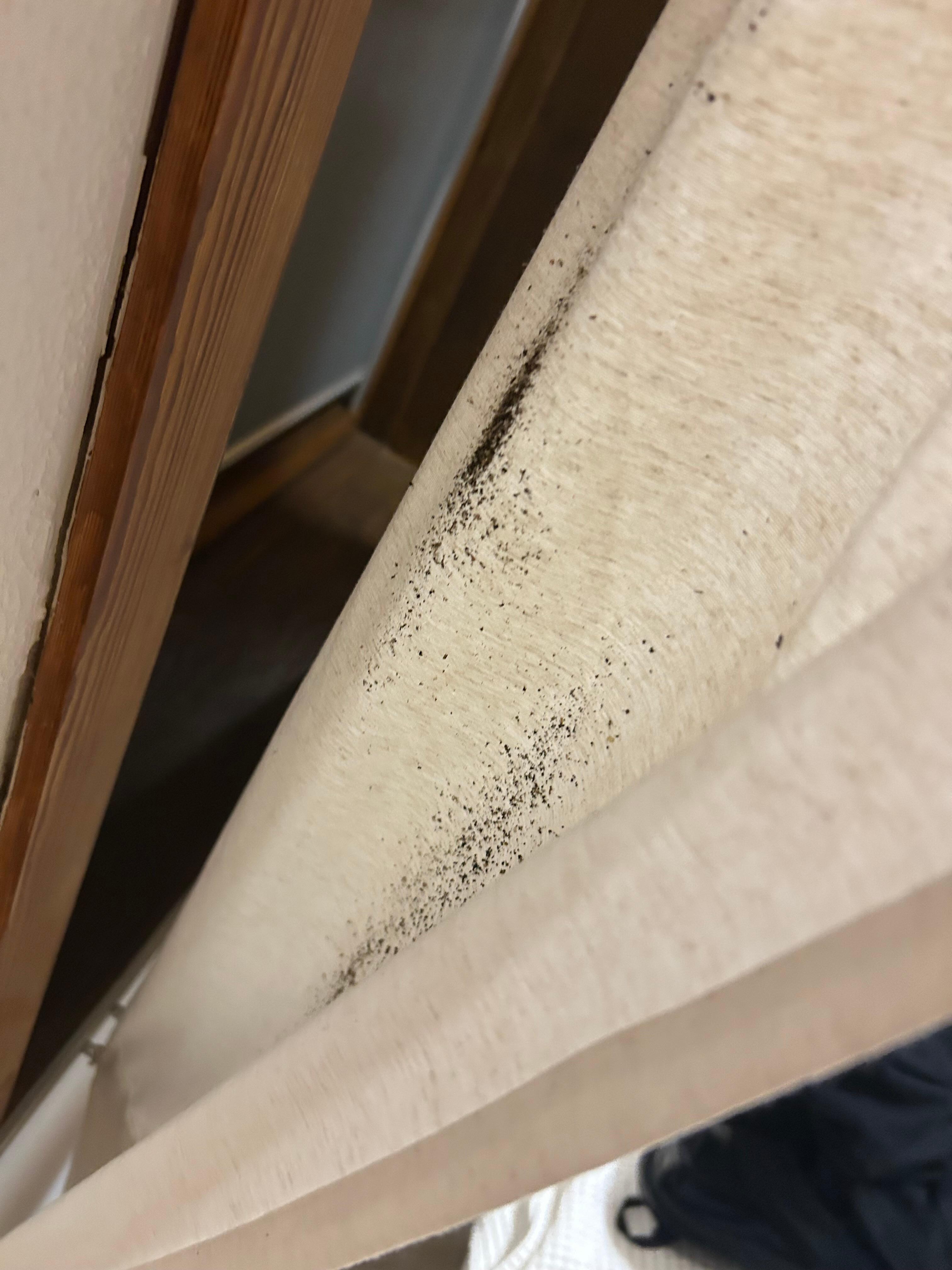 Curtain above bed