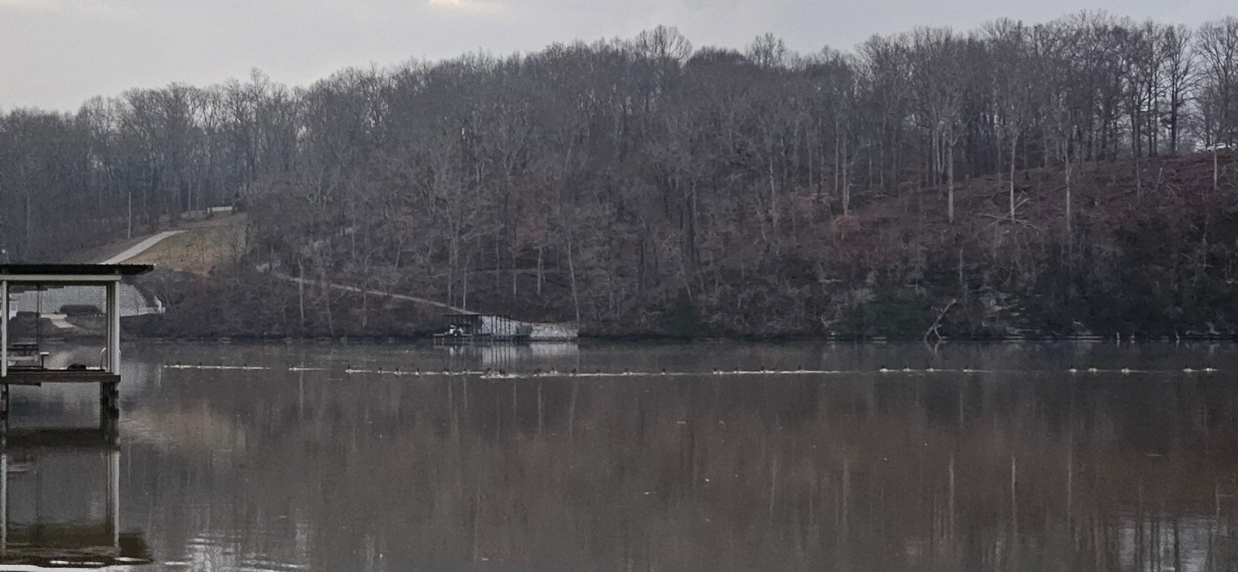It is hard to see but Canadian geese are in a long line across the lake and it was beautiful!